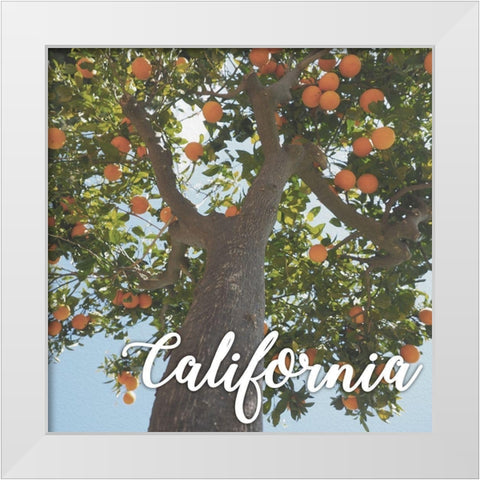 California Orange 1 White Modern Wood Framed Art Print by Prime, Marcus