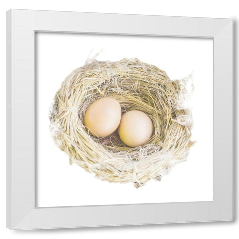 Pleasant Nesting White Modern Wood Framed Art Print by Prime, Marcus