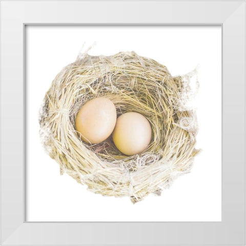 Pleasant Nesting White Modern Wood Framed Art Print by Prime, Marcus