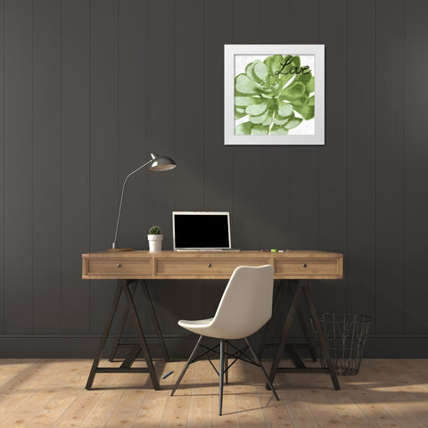Loving Succulent 1 White Modern Wood Framed Art Print by Prime, Marcus