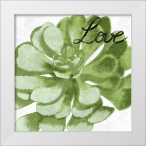 Loving Succulent 1 White Modern Wood Framed Art Print by Prime, Marcus