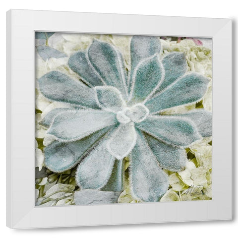 Adored Succulents White Modern Wood Framed Art Print by Prime, Marcus