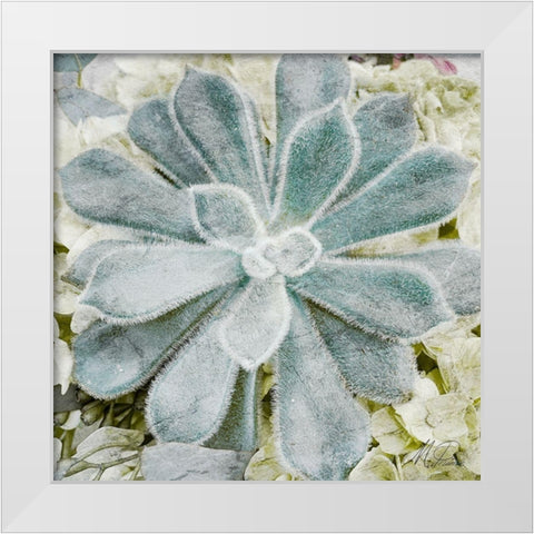 Adored Succulents White Modern Wood Framed Art Print by Prime, Marcus