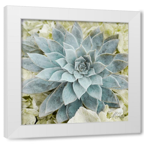 Adored Succulents 2 White Modern Wood Framed Art Print by Prime, Marcus