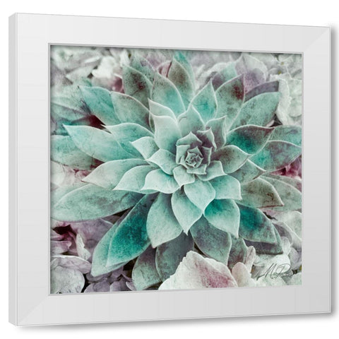 Springtime Succulents 2 White Modern Wood Framed Art Print by Prime, Marcus