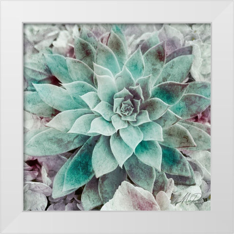 Springtime Succulents 2 White Modern Wood Framed Art Print by Prime, Marcus