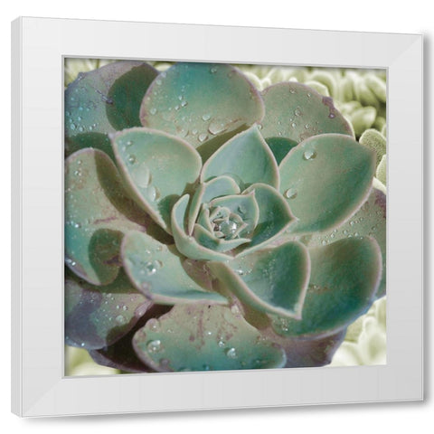 Springtime Joys 2 White Modern Wood Framed Art Print by Prime, Marcus