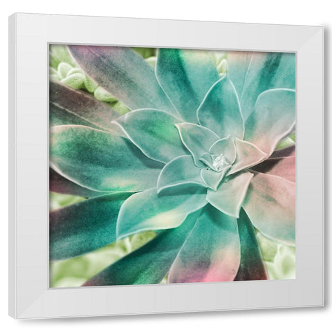 Springtime Magnifique 1 White Modern Wood Framed Art Print by Prime, Marcus