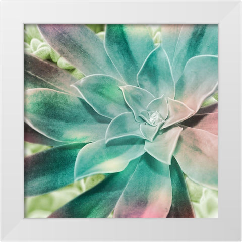 Springtime Magnifique 1 White Modern Wood Framed Art Print by Prime, Marcus