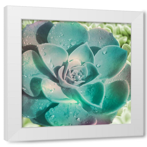 Springtime Magnifique 2 White Modern Wood Framed Art Print by Prime, Marcus