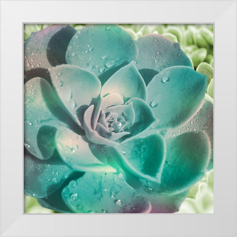 Springtime Magnifique 2 White Modern Wood Framed Art Print by Prime, Marcus