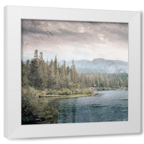 Wilderness Wonders 3 White Modern Wood Framed Art Print by Prime, Marcus
