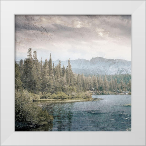 Wilderness Wonders 3 White Modern Wood Framed Art Print by Prime, Marcus