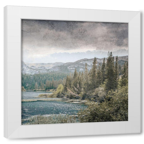 Wilderness Wonders 4 White Modern Wood Framed Art Print by Prime, Marcus