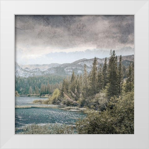 Wilderness Wonders 4 White Modern Wood Framed Art Print by Prime, Marcus