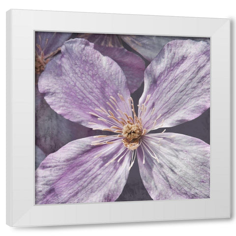 Lavender Explosion 2 White Modern Wood Framed Art Print by Prime, Marcus