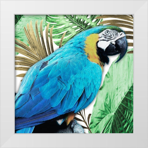 Tropical Views 2 White Modern Wood Framed Art Print by Prime, Marcus