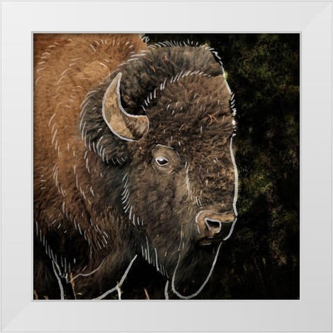 Illustrated Bison 1 White Modern Wood Framed Art Print by Prime, Marcus