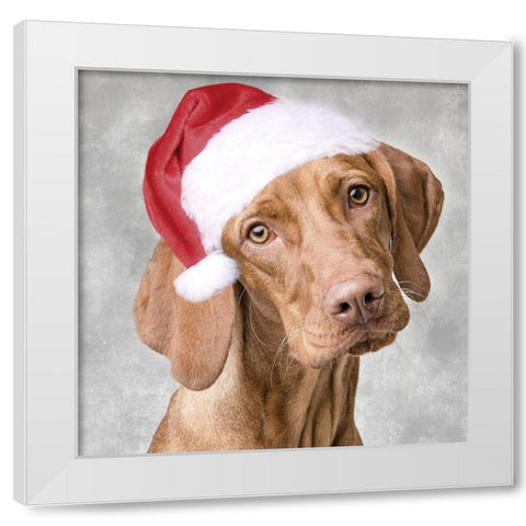 Christmas Pup 1 White Modern Wood Framed Art Print by Prime, Marcus