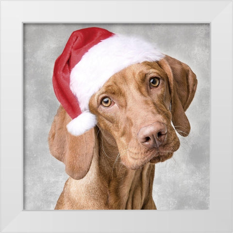 Christmas Pup 1 White Modern Wood Framed Art Print by Prime, Marcus