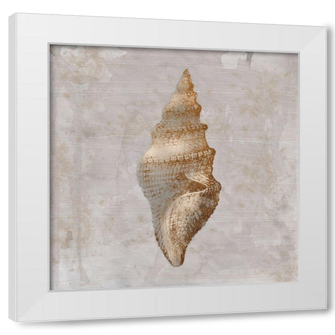Aged Sea Shells 2 White Modern Wood Framed Art Print by Prime, Marcus
