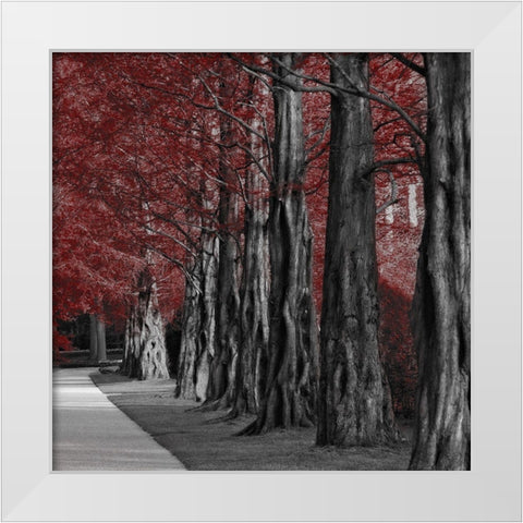 Crimson Forest 2 White Modern Wood Framed Art Print by Prime, Marcus