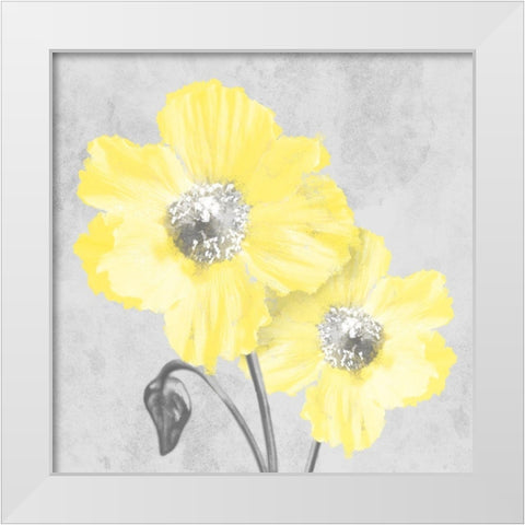 Delightful Lumination 2 White Modern Wood Framed Art Print by Prime, Marcus