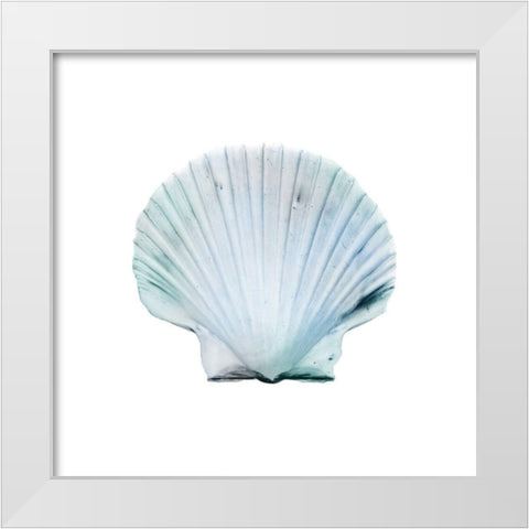 Seaside Shell 1 White Modern Wood Framed Art Print by Prime, Marcus