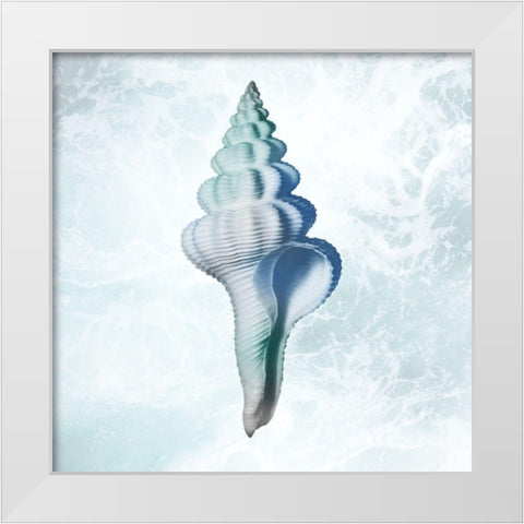 Seaside Infused Shell 2 White Modern Wood Framed Art Print by Prime, Marcus