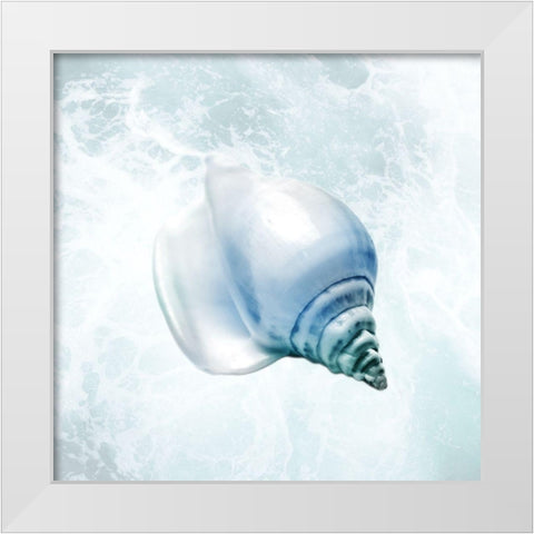 Seaside Infused Shell 3 White Modern Wood Framed Art Print by Prime, Marcus