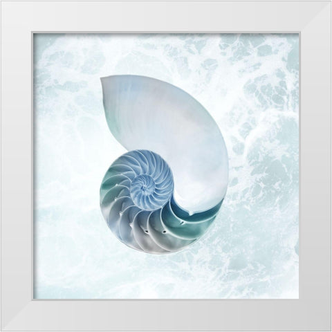 Seaside Infused Shell 4 White Modern Wood Framed Art Print by Prime, Marcus