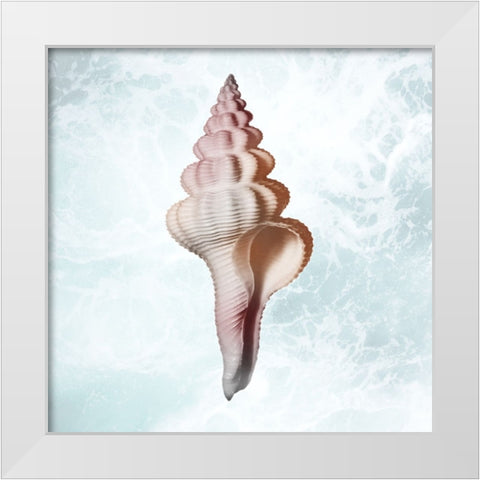 Sunshine Infused Shell 2 White Modern Wood Framed Art Print by Prime, Marcus