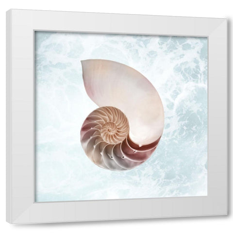 Sunshine Infused Shell 4 White Modern Wood Framed Art Print by Prime, Marcus
