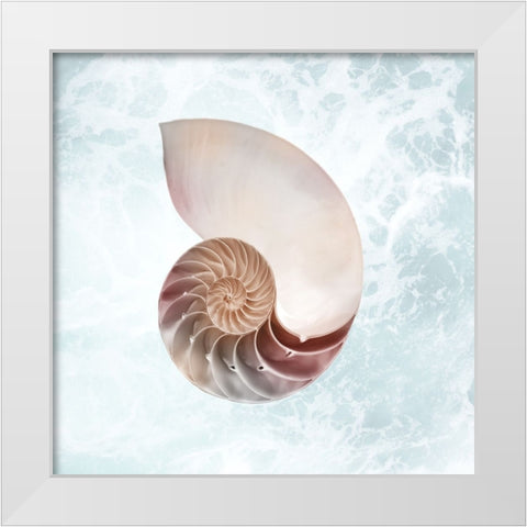 Sunshine Infused Shell 4 White Modern Wood Framed Art Print by Prime, Marcus