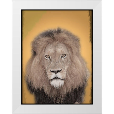 Lion In Thought 2 White Modern Wood Framed Art Print by Prime, Marcus
