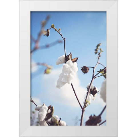 Cotton Fields White Modern Wood Framed Art Print by Reed, Michele