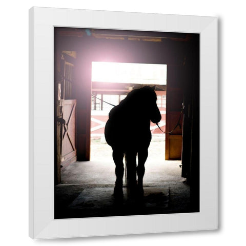 Horse Silhouette White Modern Wood Framed Art Print by Reed, Michele