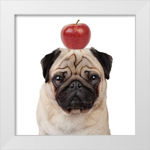 Apple White Modern Wood Framed Art Print by Reed, Michele