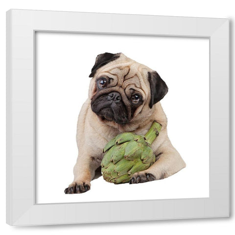 Artichoke White Modern Wood Framed Art Print by Reed, Michele
