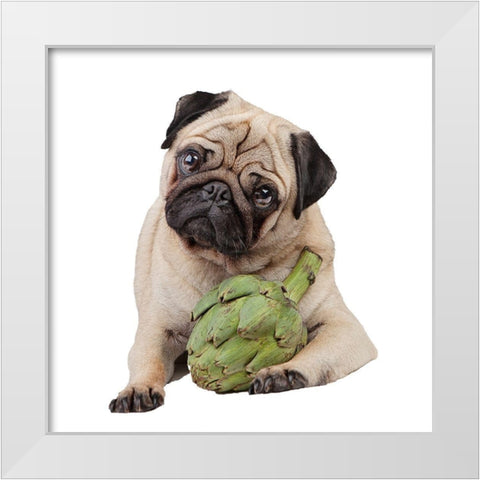 Artichoke White Modern Wood Framed Art Print by Reed, Michele