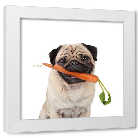 Carrot White Modern Wood Framed Art Print by Reed, Michele