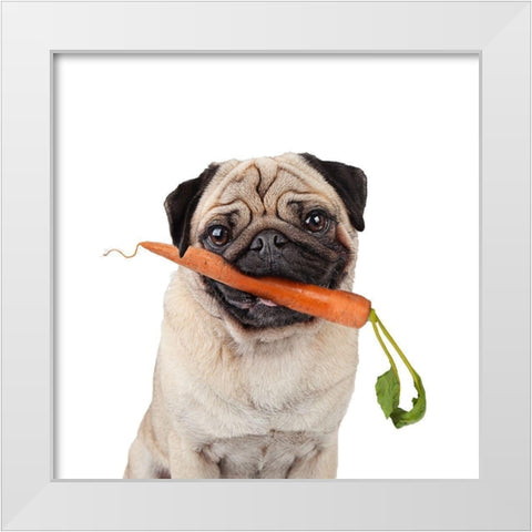Carrot White Modern Wood Framed Art Print by Reed, Michele