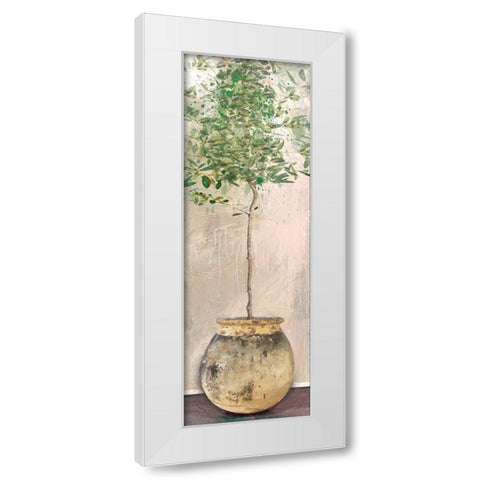 Dracaena White Modern Wood Framed Art Print by Miller, Savannah