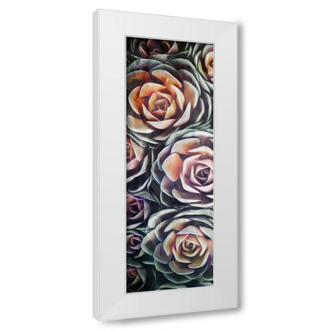 Fall Succulents White Modern Wood Framed Art Print by Villa, Mlli