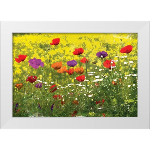 Another Pack Of Poppies White Modern Wood Framed Art Print by Villa, Mlli