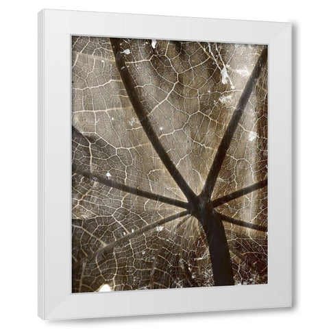 Reach White Modern Wood Framed Art Print by Villa, Mlli