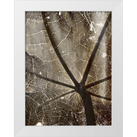 Reach White Modern Wood Framed Art Print by Villa, Mlli