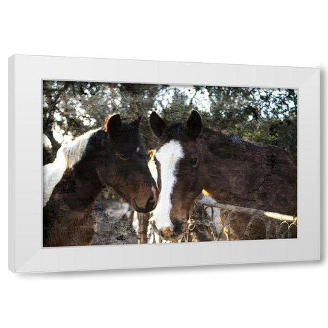 Horse Looks White Modern Wood Framed Art Print by Villa, Mlli