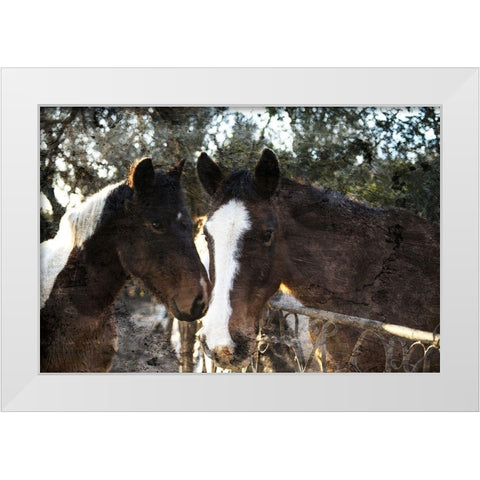 Horse Looks White Modern Wood Framed Art Print by Villa, Mlli