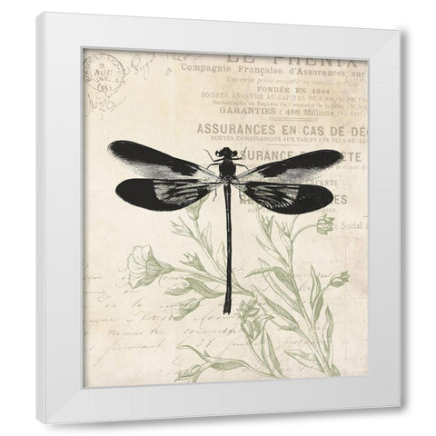 Vintage Insects White Modern Wood Framed Art Print by Villa, Mlli